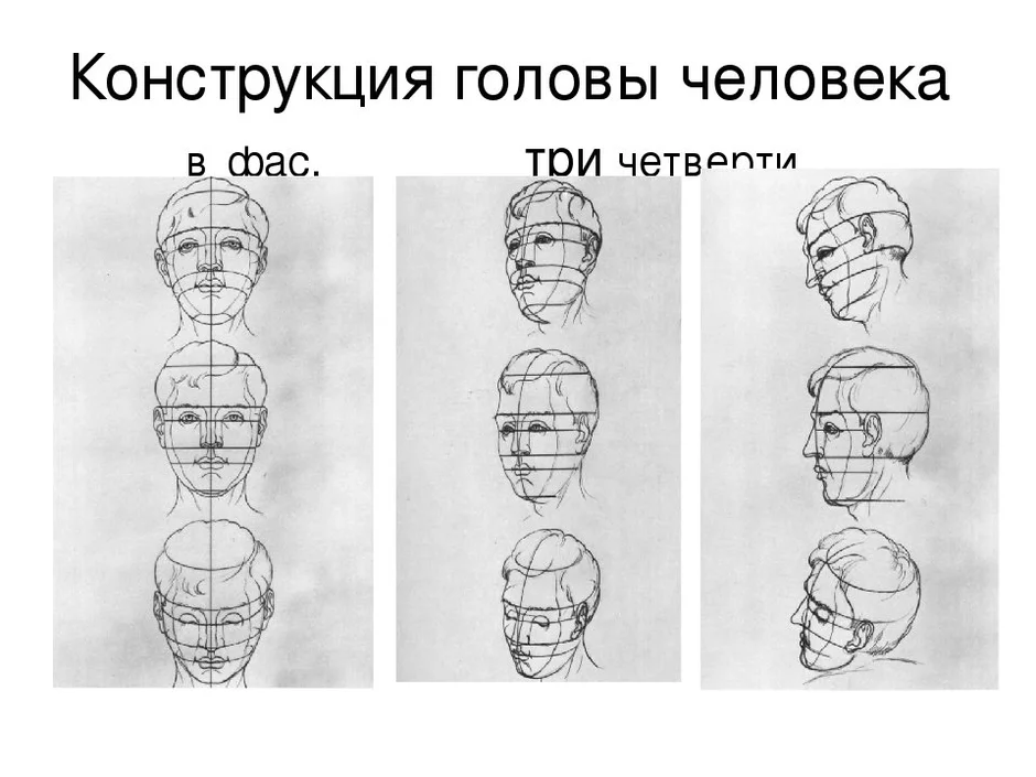 Изображение головы человека в пространстве презентация изо 6 класс