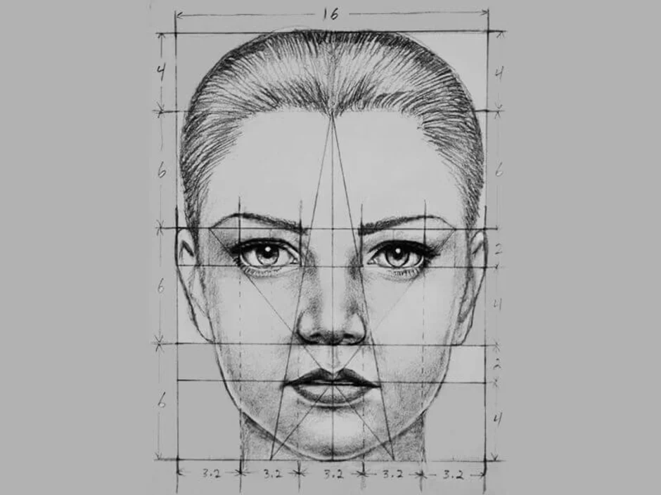 Рисунок лица 1 3. Портрет анфас пропорции. Этапы рисования лица. Лицо человека рисунок. Рисование лица человека.