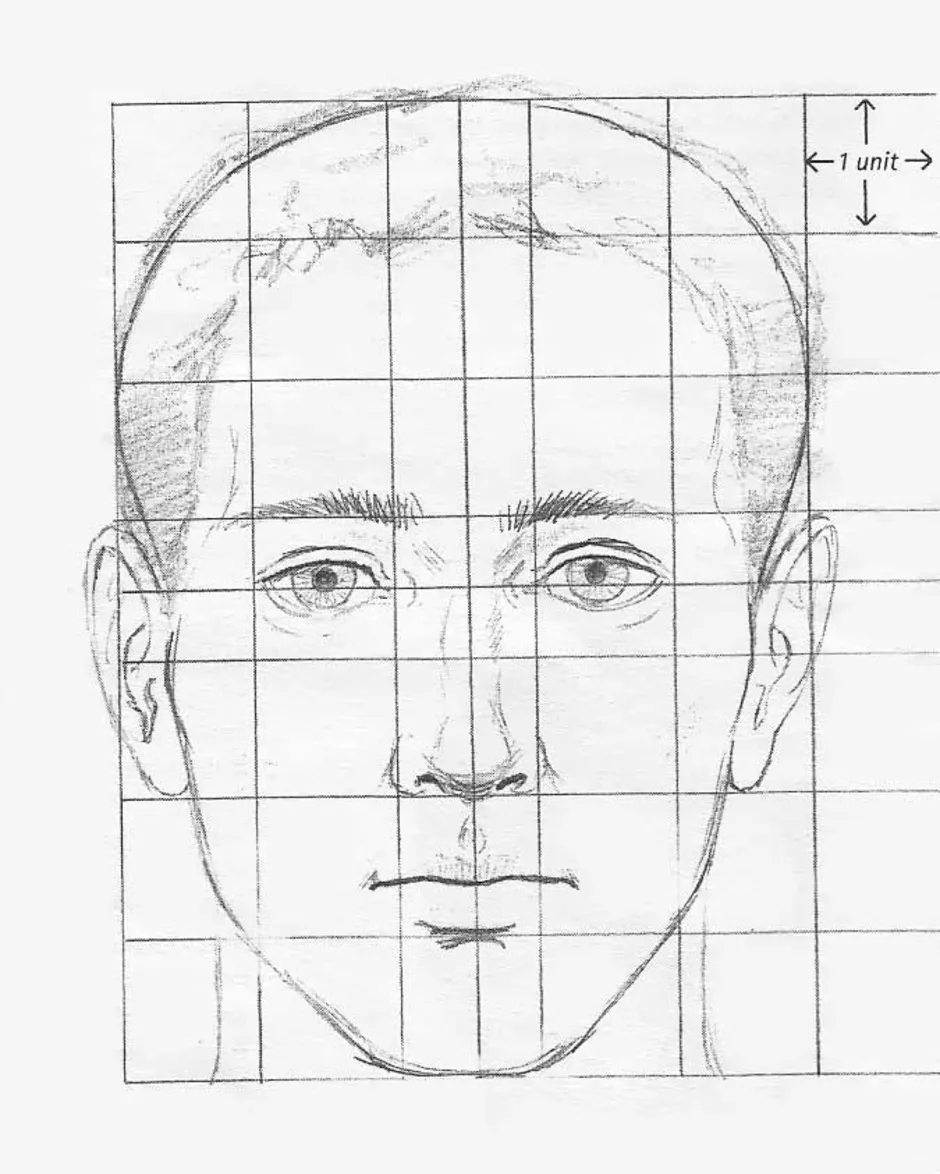 Лицо рисунок схема. Пропорции головы человека анфас или профиль. Пропорции портретов сбоку. Пропорции лица анфас. Схема лица человека для рисования.