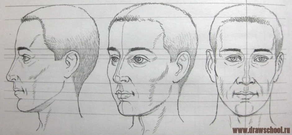 Третья лица. Пропорции лица человека анфас профиль. Анфас профиль 3/4. Изображение головы в пространстве. Голова человека в трех ракурсах.