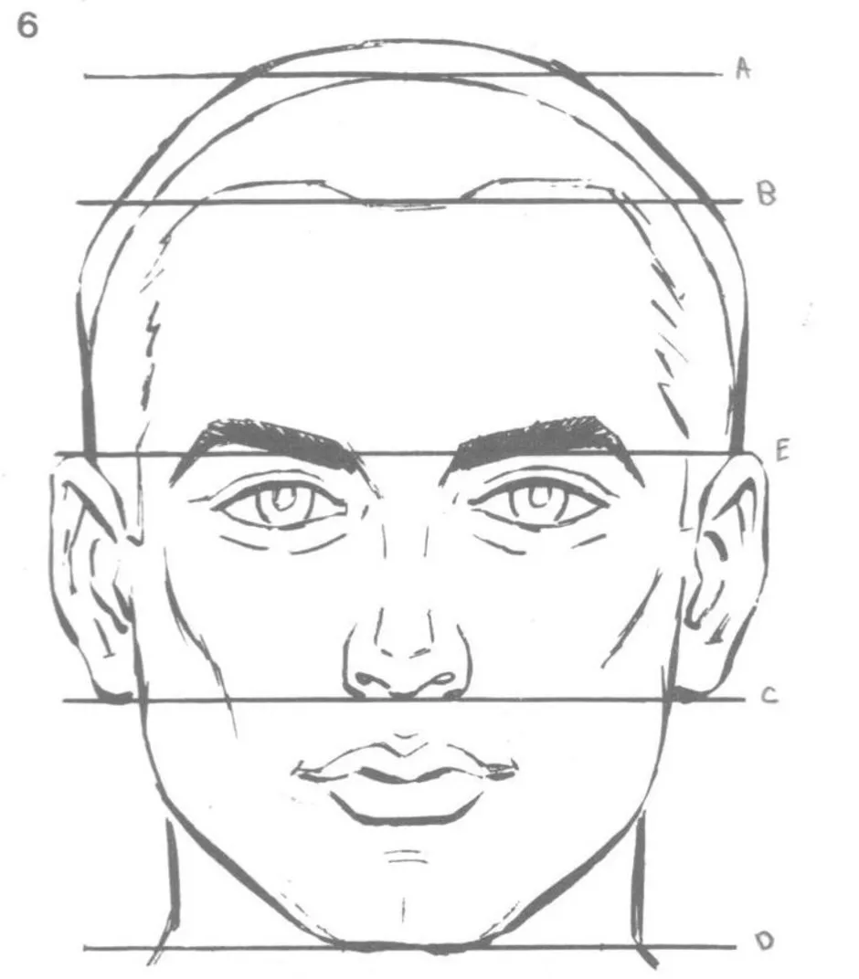 Лицо рисунок схема. Пропорции лица человека схема. Пропорции лица человека для рисования. Схематический портрет лица. Схема лица человека для рисования.