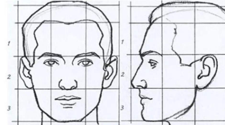 Стороны портрета. Пропорции лица для рисования профиль и анфас. Пропорции лица человека для рисования для начинающих. Схемы лица человека в профиль и анфас. Пропорции женского лица в профиль и анфас.