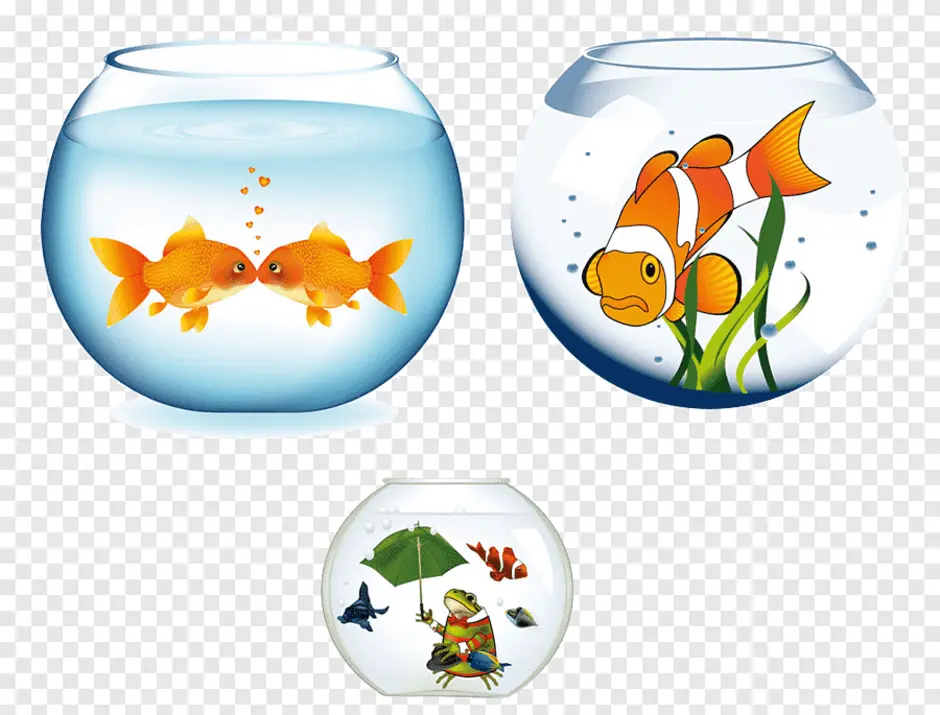 Аквариумные рыбки для дошкольников. Аквариум для дошкольников. Аквариум с рыбками для детей. Рыбки для аквариума для малышей. Аквариум с рыбками рисунок.