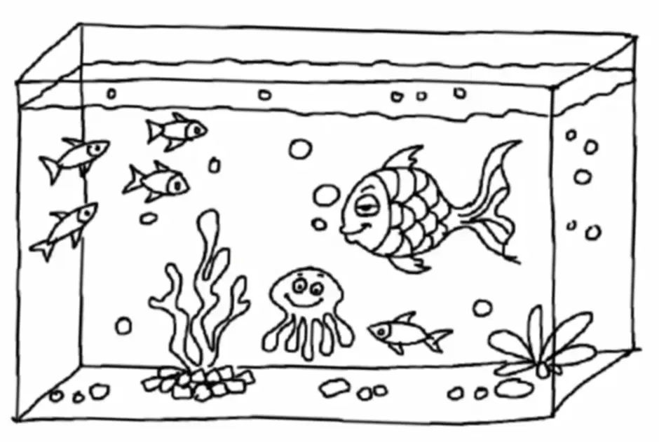 Распечатать картинку аквариум. Рисование рыбки в аквариуме. Нарисовать аквариум с рыбками. Аквариум рисунок карандашом. Аквариум прямоугольный раскраска с рыбками.