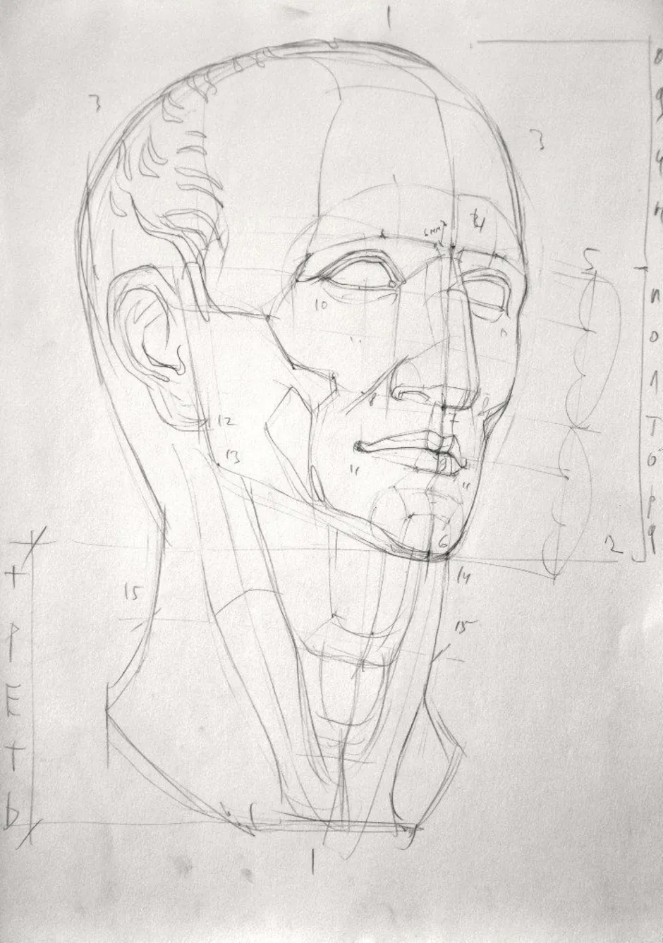 Построение гипсовой головы академический рисунок