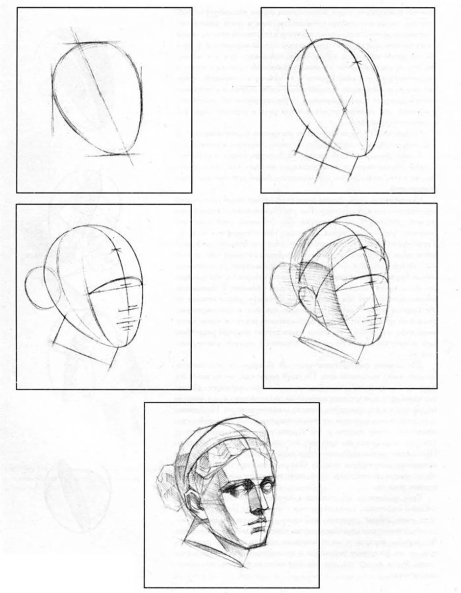 Как строить голову человека академический рисунок