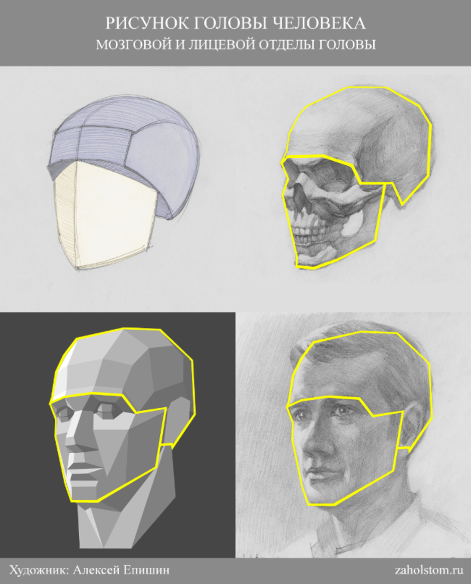 Построение головы человека академический рисунок поэтапно