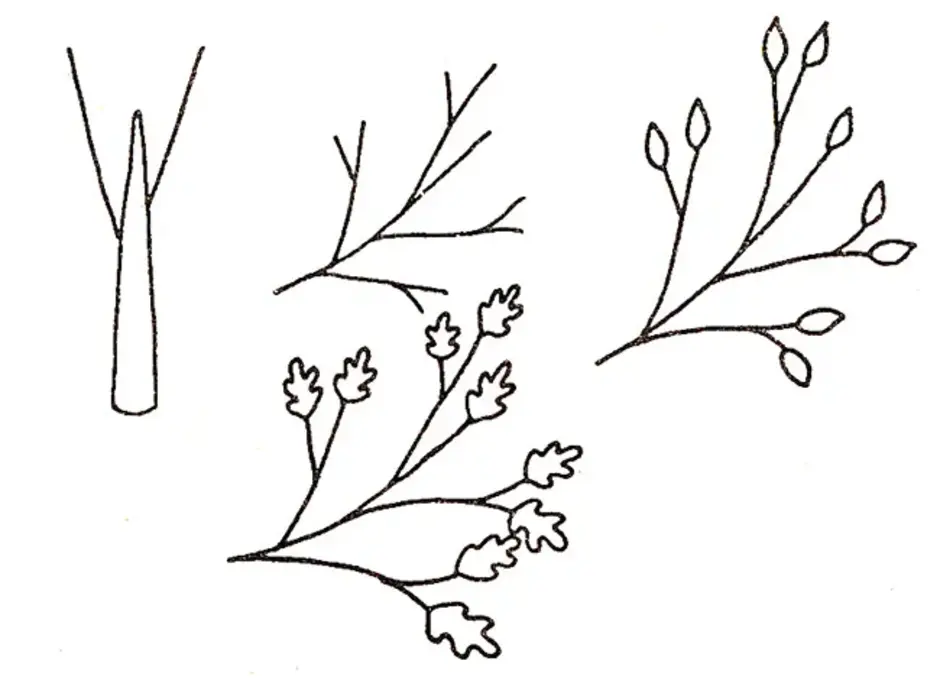 Почки на деревьях рисунок для детей