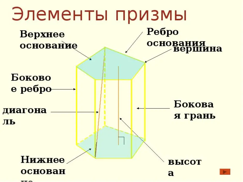 2 основания призмы