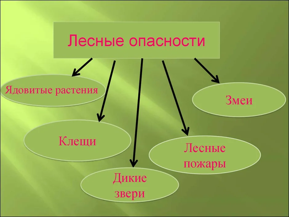 Окружающий мир 2 класс лесные опасности презентация 2 класс