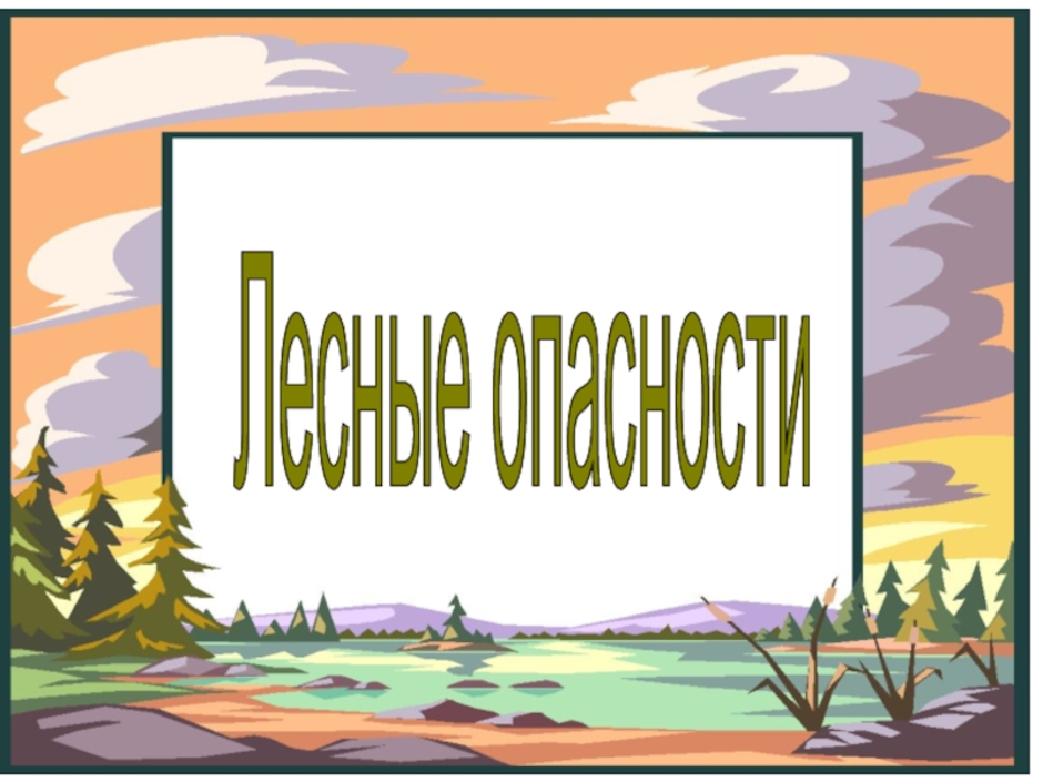 Проект лесные опасности