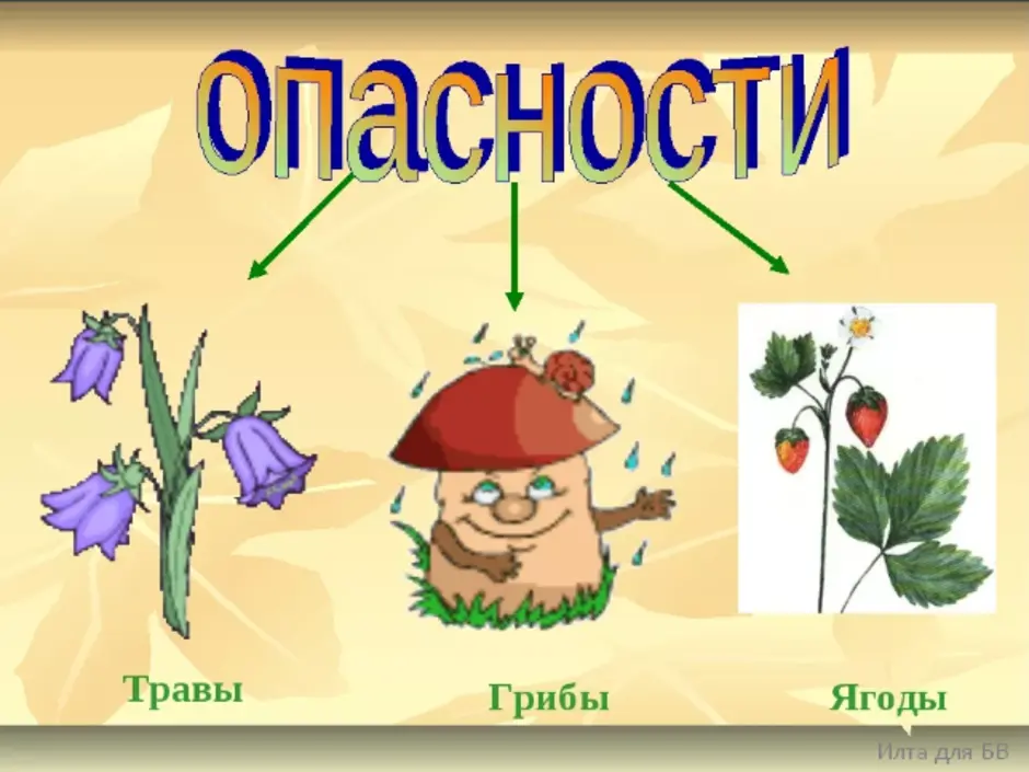 Проект о лесных опасностях по окружающему миру 2 класс рабочая тетрадь 2