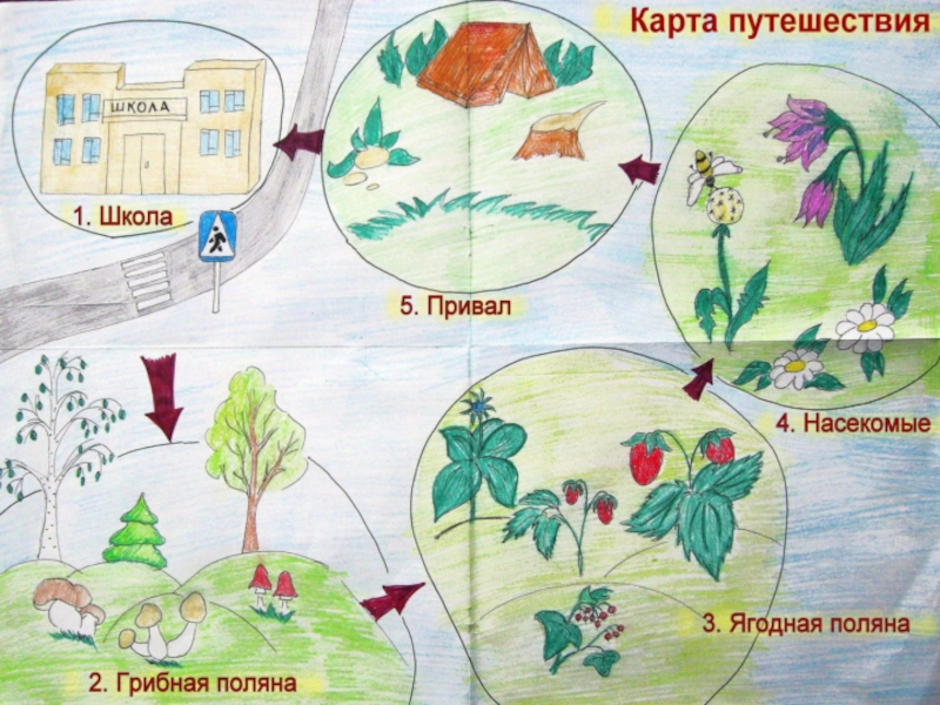 Проект лесные опасности