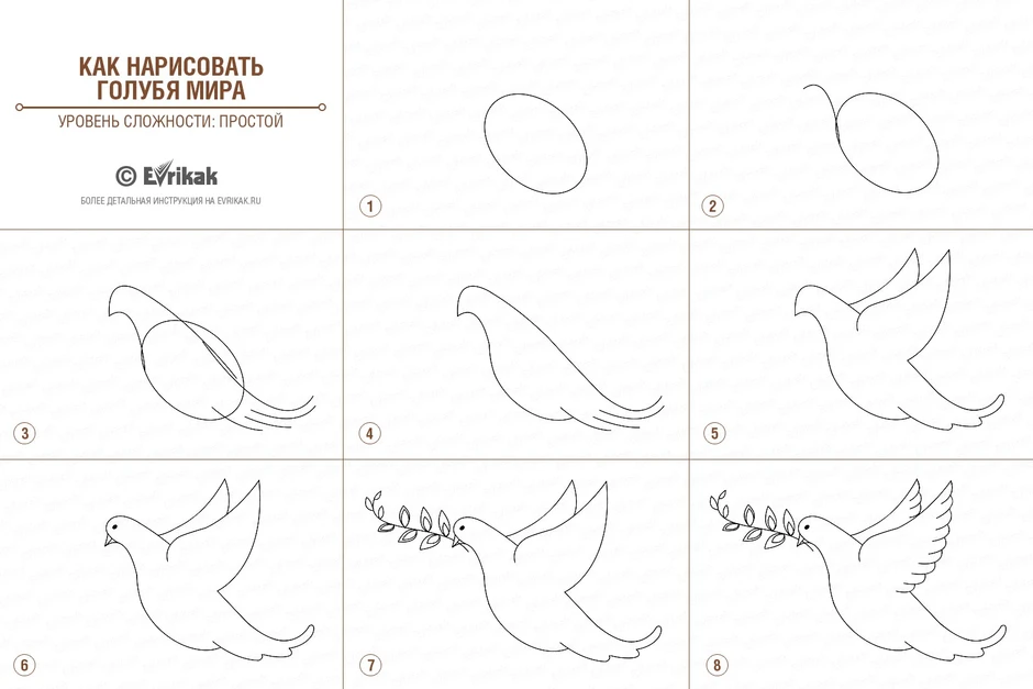 Как рисовать голубя для детей 7 лет