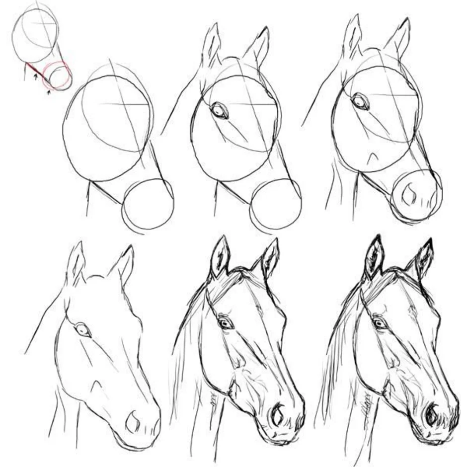 Рисуем лошадь поэтапно. Рисование лошади. Лошадь рисунок. Лошадь карандашом. Наброски лошадей.