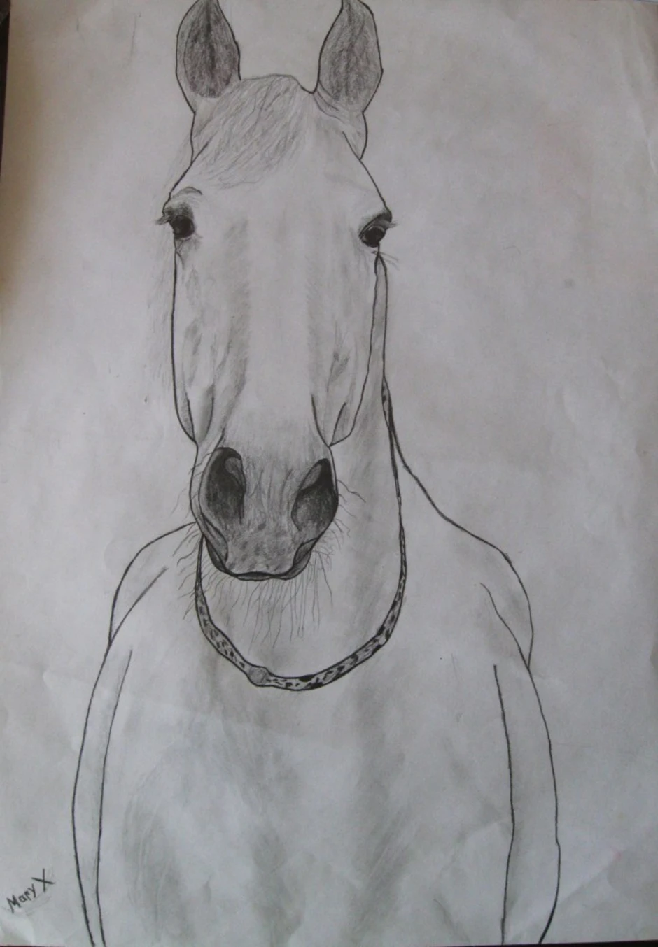 Нарисовать лошадь простым карандашом