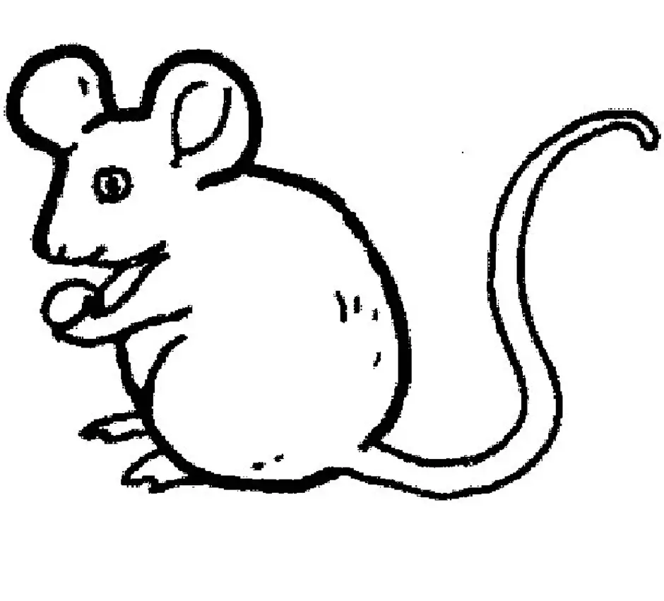 Раскраска мышь распечатать. Раскраска мышка. Мышь раскраска для детей. Мышка для раскрашивания детям. Мышка рисунок.