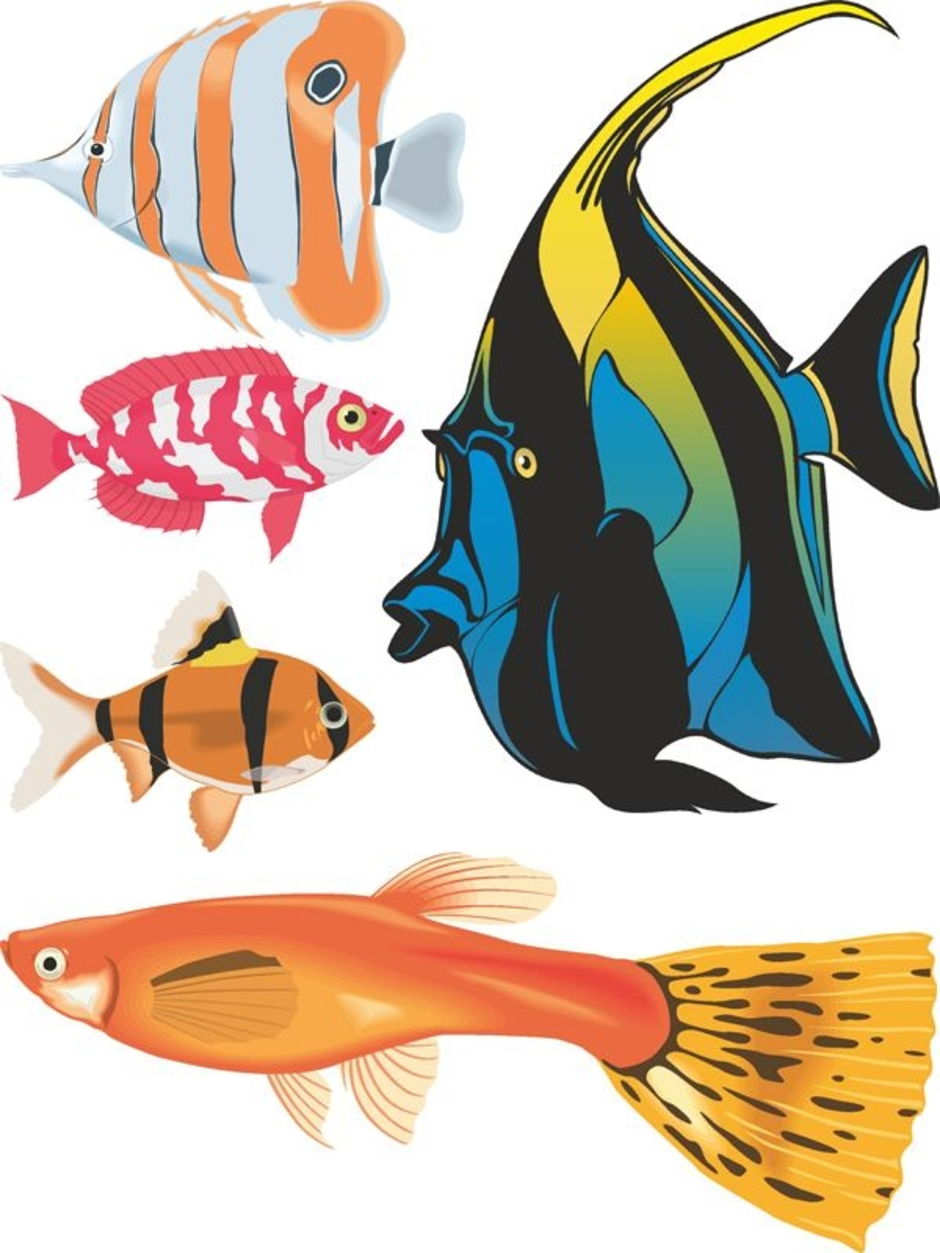 Аквариумные рыбы для детей. Аквариум с рыбками для детей. Рыбка рисунок. Рыба для детей. Разноцветные рыбы для детей.