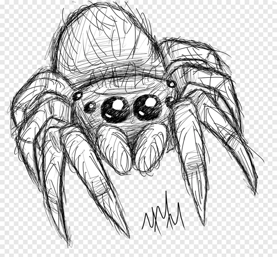 Страшный паук рисунок