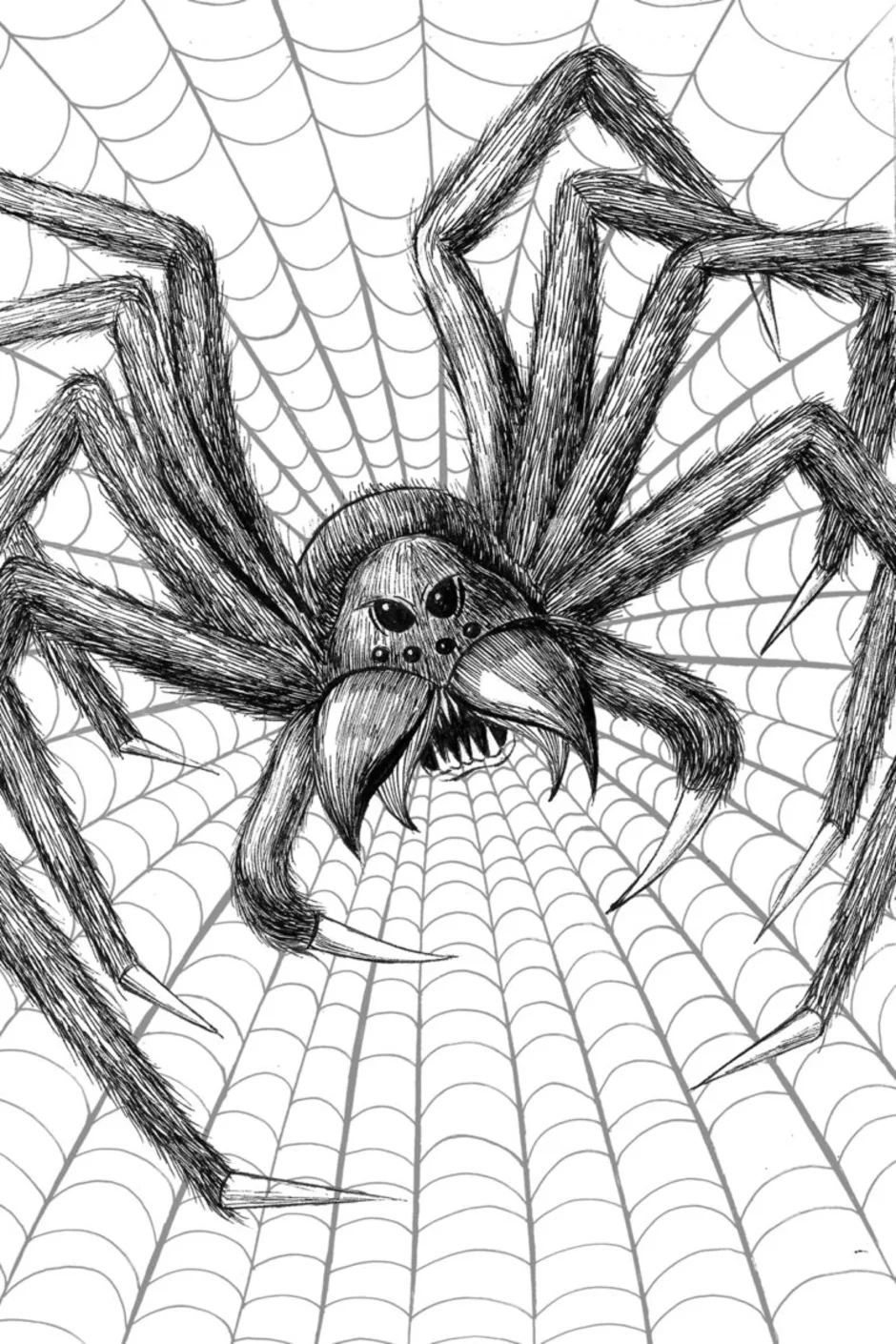 Рисунок паука карандашом