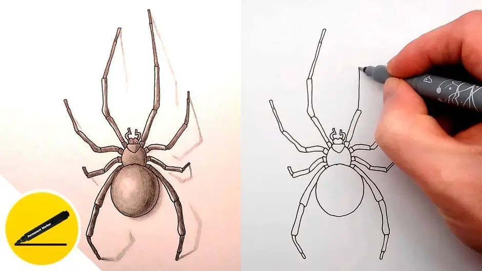 Уроки рисования паук