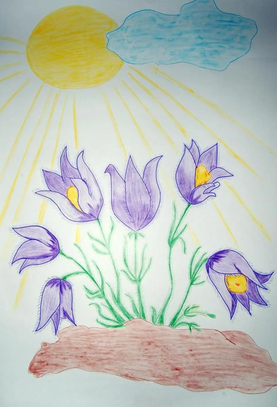 Окружающий мир 2 класс рисунок красота весны. Детские рисунки.
