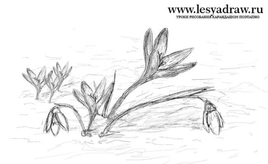 Весенние рисунки карандашом легкие. Весенние рисунки. Весенние цветы карандашом для срисовки. Весенние цветы рисунок карандашом.