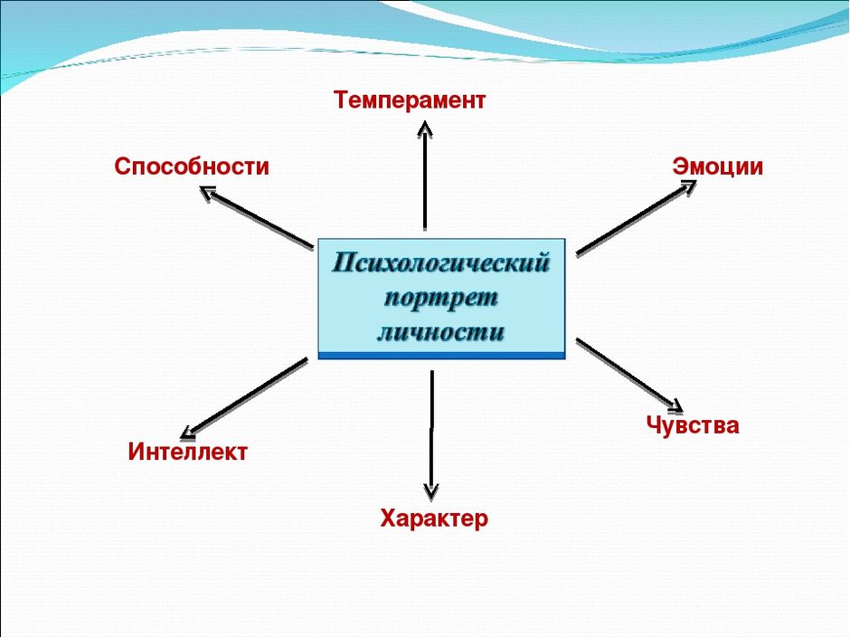 Темперамент и личность в психологии презентация