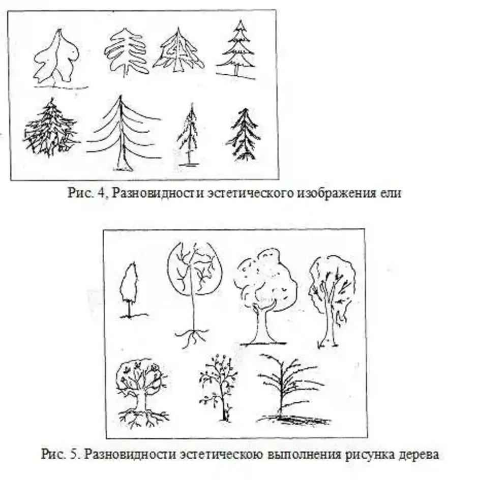 Тест Рисунок Дерева (111 Фото)