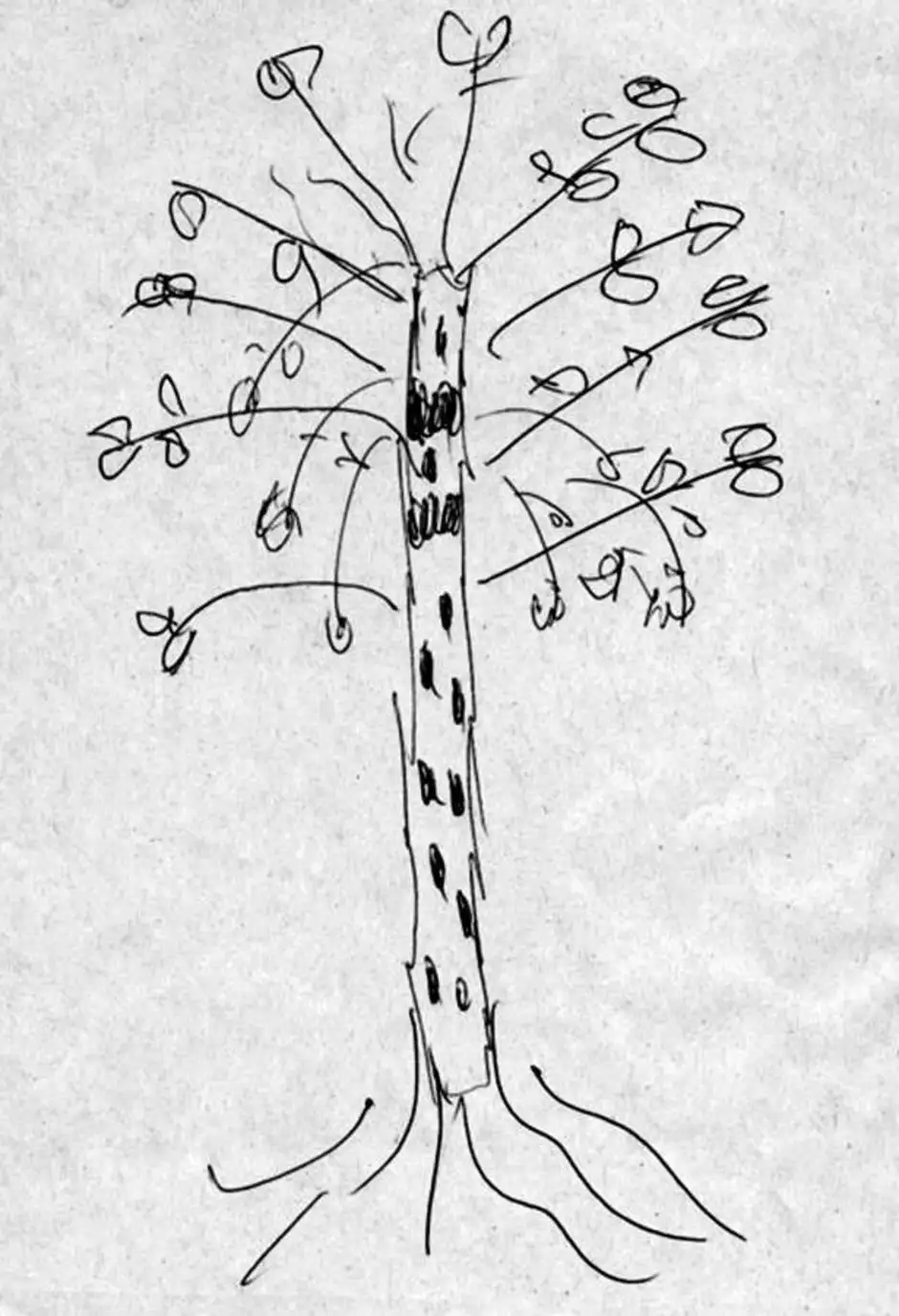 Психологическая расшифровка дерева