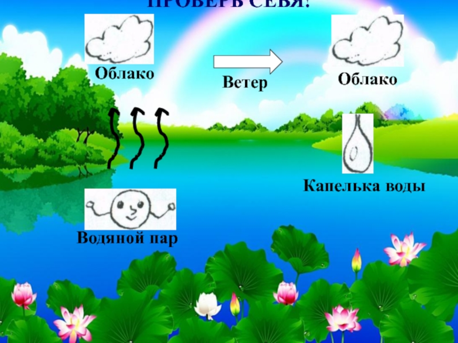 Вода в природе окружающий мир. Путешествие капельки воды в природе. Путешествие капельки круговорот воды в природе. Приключение капельки круговорот воды в природе. Круговорот капельки воды в природе.