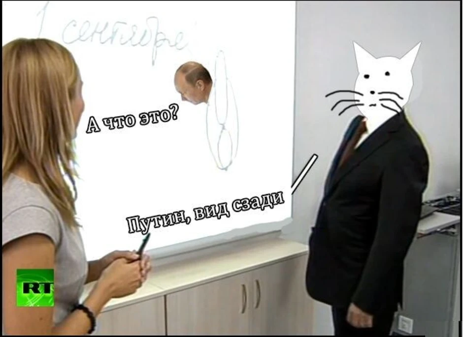 Кот нарисовал путин