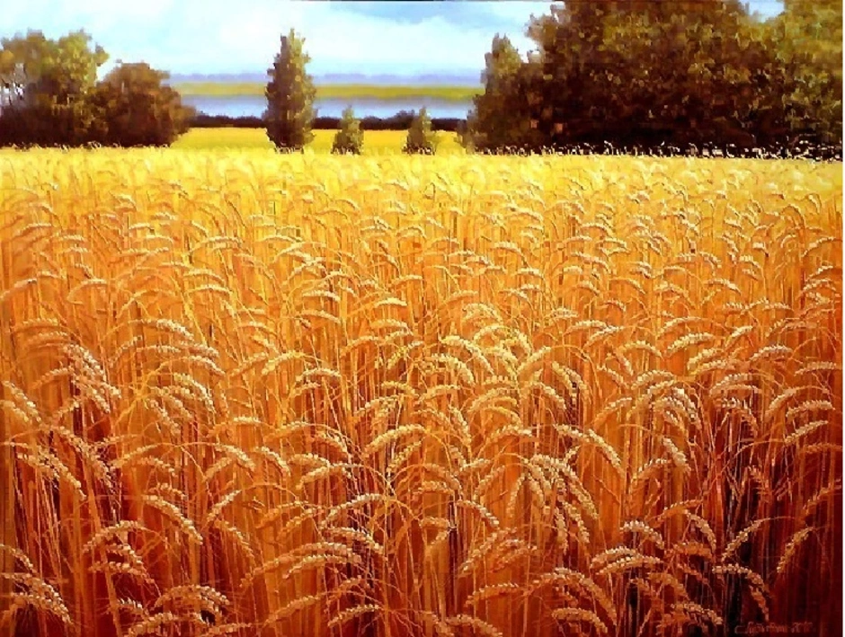 Поли жито. Конин художник пшеничное поле.