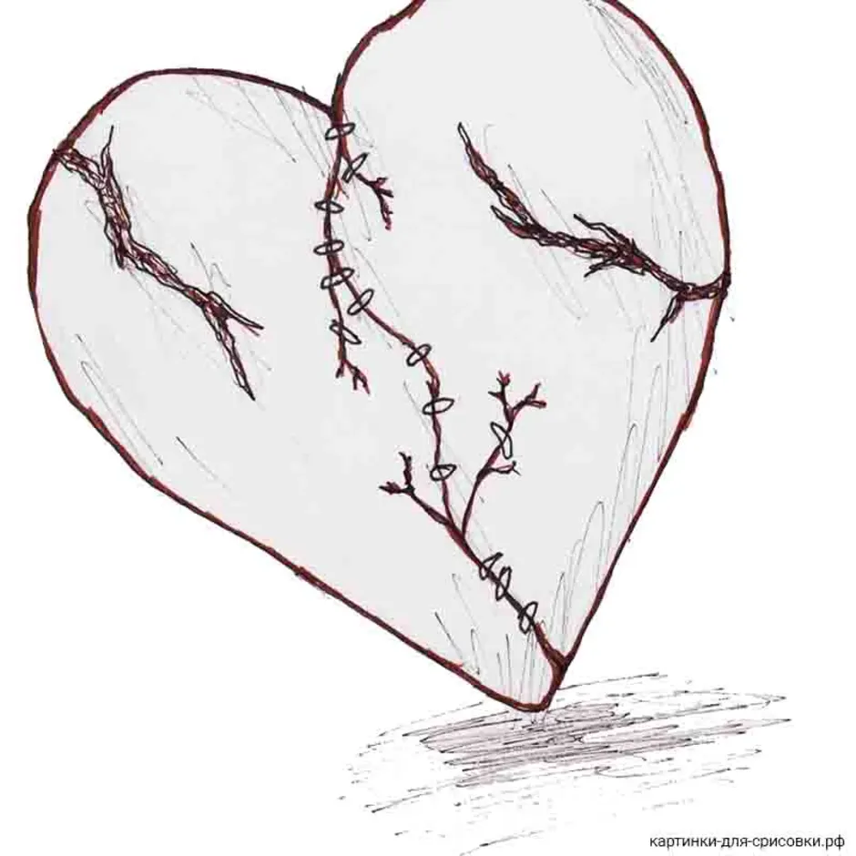 Разбитое сердце ветки