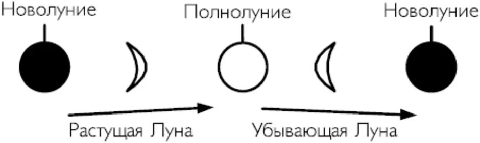 Растущая фаза. Фазы Луны схема. Фаза новолуния схема. Схема растущей и убывающей Луны. Растущая и убывающая Луна схема.