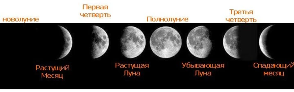 Понаблюдай за луной в течение месяца один раз в неделю нарисуй как будет выглядеть луна