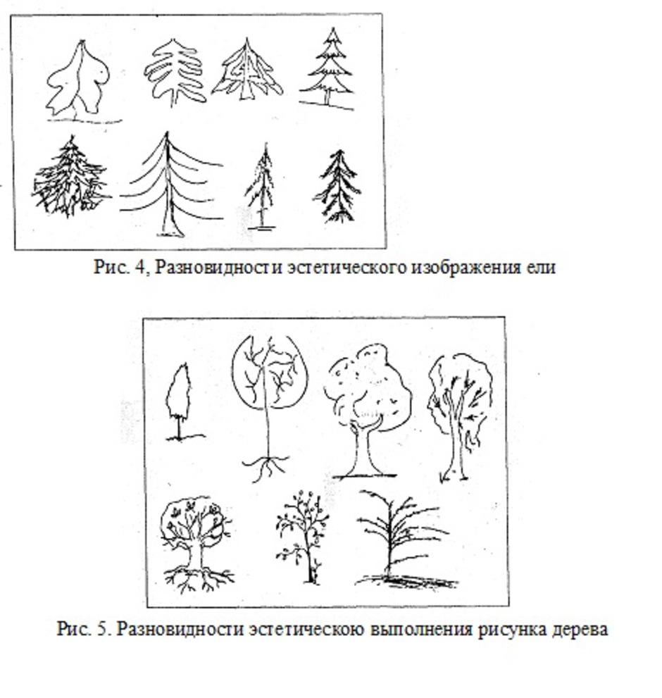 Тест нарисовать дерево