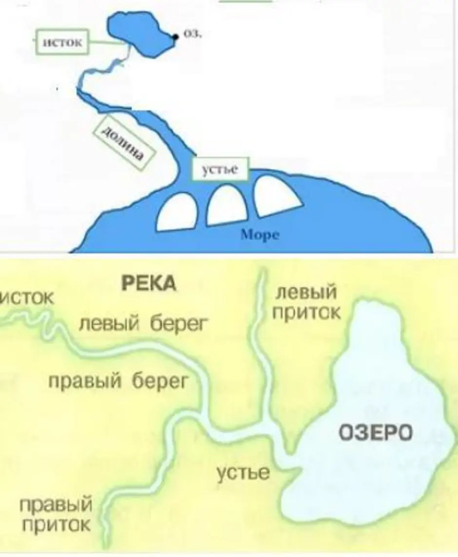 устье реки что это