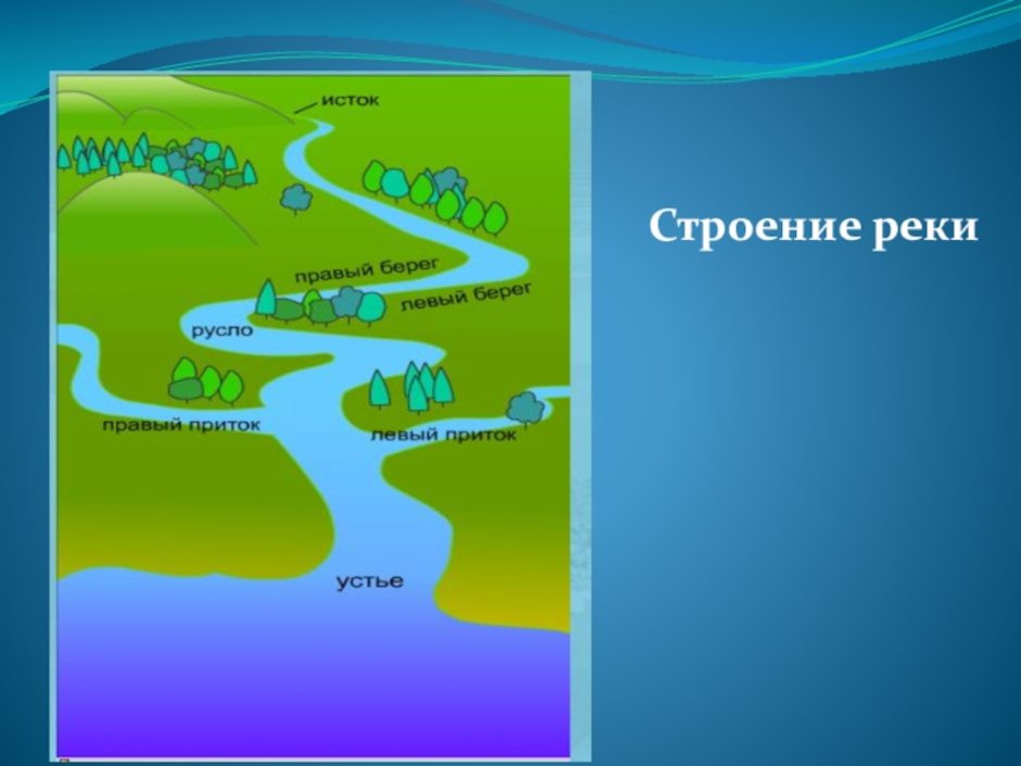 Устье реки рисунок