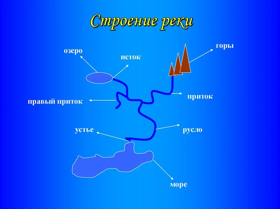 Соотнеси части речной системы с точками на изображении