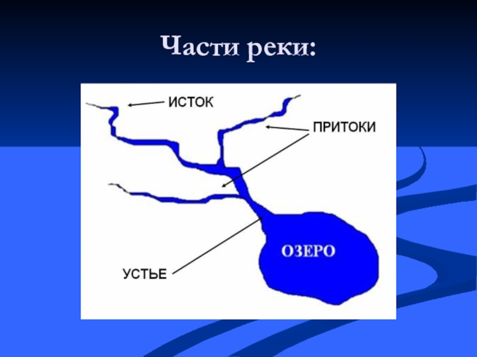 Подпиши на схеме исток и устье