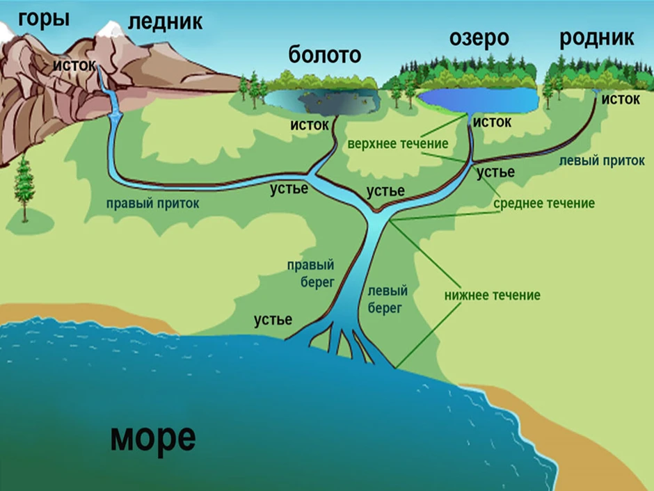 Фазы водного режима реки расставьте подписи на изображении