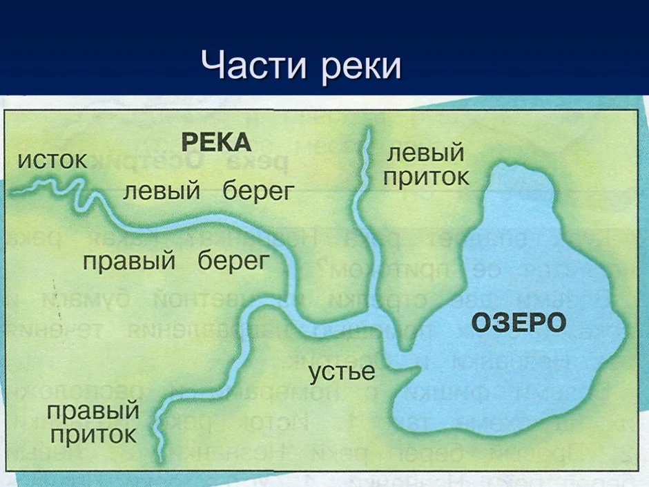 Какое течение озера. Схема реки Исток русло Устье. Река Исток русло схема. Устье Исток русло части реки. Схема реки Исток приток Устье.