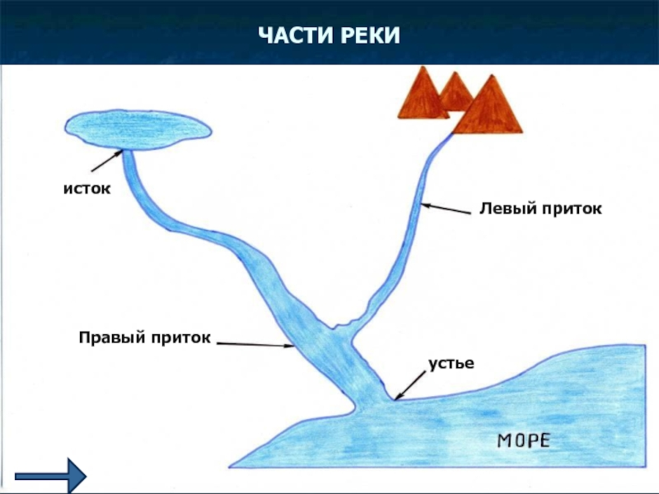 Рисунок схема река вытекает из озера и впадает