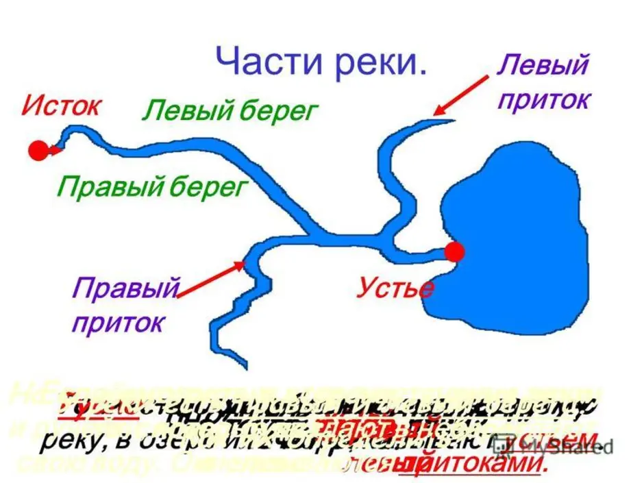 Рисунок части реки 2 класс окружающий мир