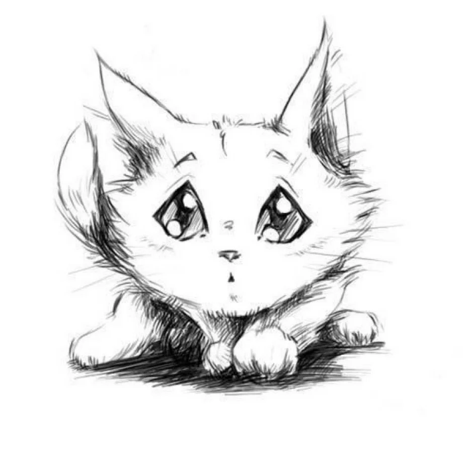 Милые котики рисунки легко и красиво
