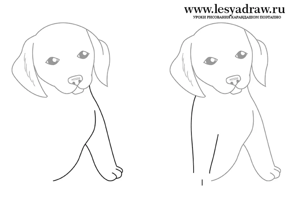 Нарисовать собаку карандашом легко и красиво. Поэтапное рисование собаки. Собака рисунок карандашом. Поэтапное рисование щенка для детей. Рисунок собачки для срисовки.