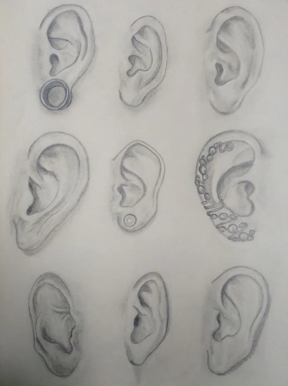 Уха поэтапно. Уши рисование. Поэтапное рисование ушей. Рисовка ушей. Анатомия уха для рисования.