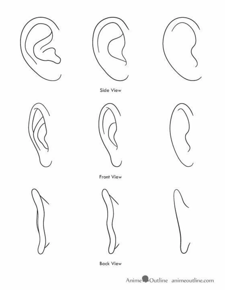 Как научиться рисовать уши