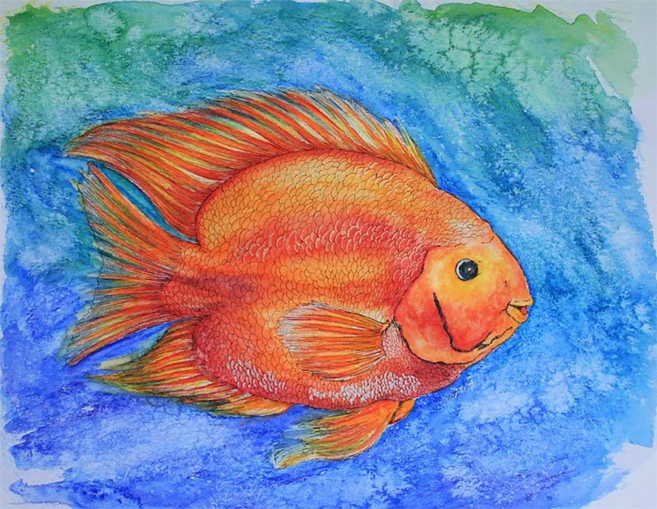 Нарисовать рыбку картинки. Рыбка акварельными карандашами. Рыбка рисунок. Рисование рыбы. Рыбка цветными карандашами.